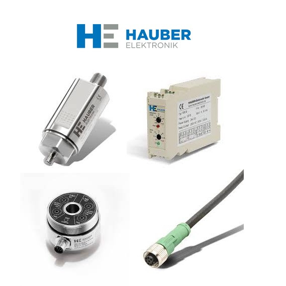 Hauber HE101.01.16.00.00.00.050 Vibration Monitoring Unit 2